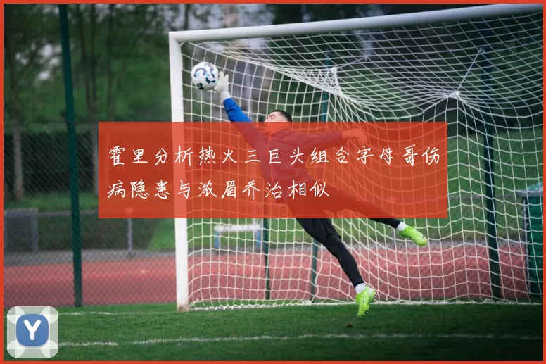 霍里分析热火三巨头组合字母哥伤病隐患与浓眉乔治相似